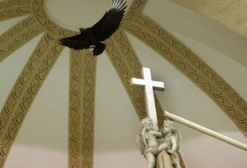 O urubu voa dentro da igreja Foto: Gabriel Paiva / Agência O Globo