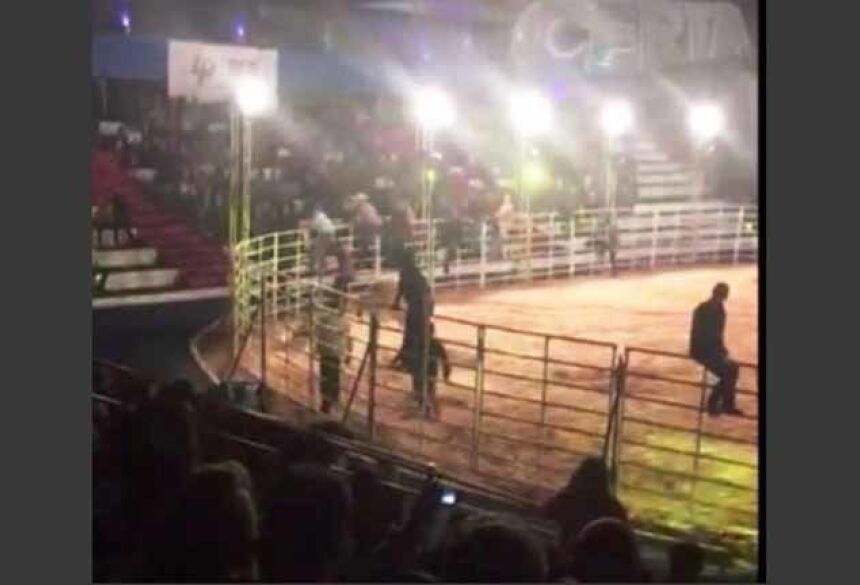 Arena de rodeio também é lugar de mulher - Notícias