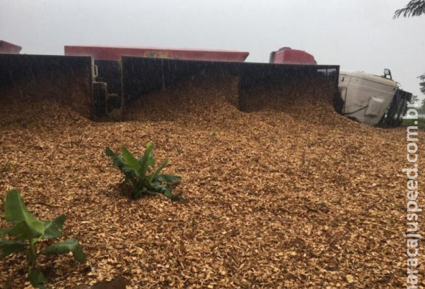 Carga de 35 toneladas de cavaco ficou espalhada à beira da rodovia / Foto: Guilherme Henri