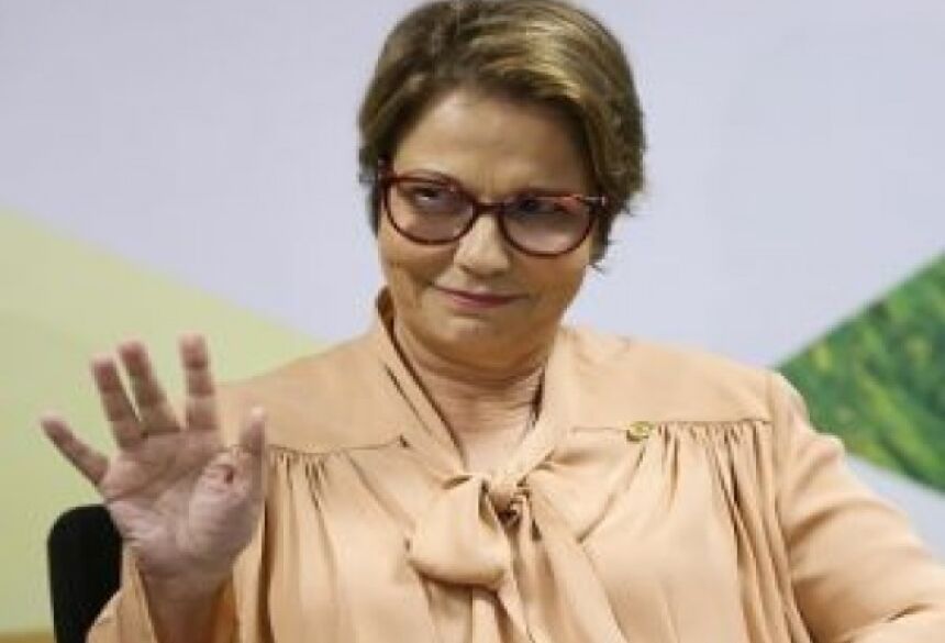 Tereza Cristina ganhou força política como líder nacional do agronegócio e virou ministra  (Foto: Foto: Marcelo Camargo / Agência Brasil)