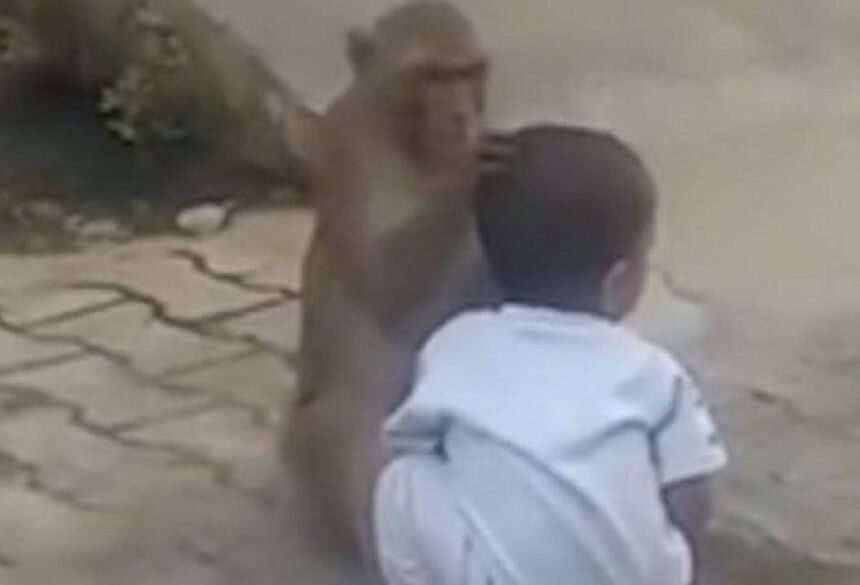 Macaco 'sequestrador' mexe no cabelo de menino à beira de estrada na Índia Foto: Reprodução
