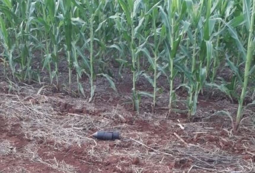 Bope desativa artefato explosivo encontrado por pescador na 5ª Linha, distrito de Culturama