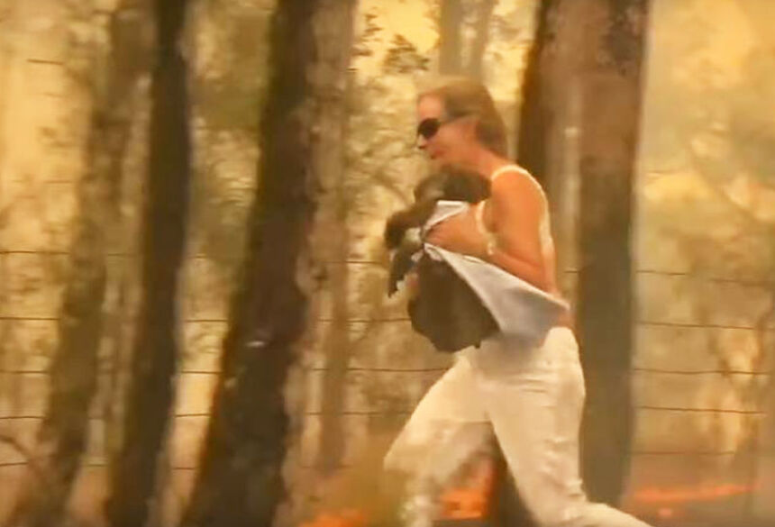 Tim correndo com o coala - Foto: reprodução / Youtube
