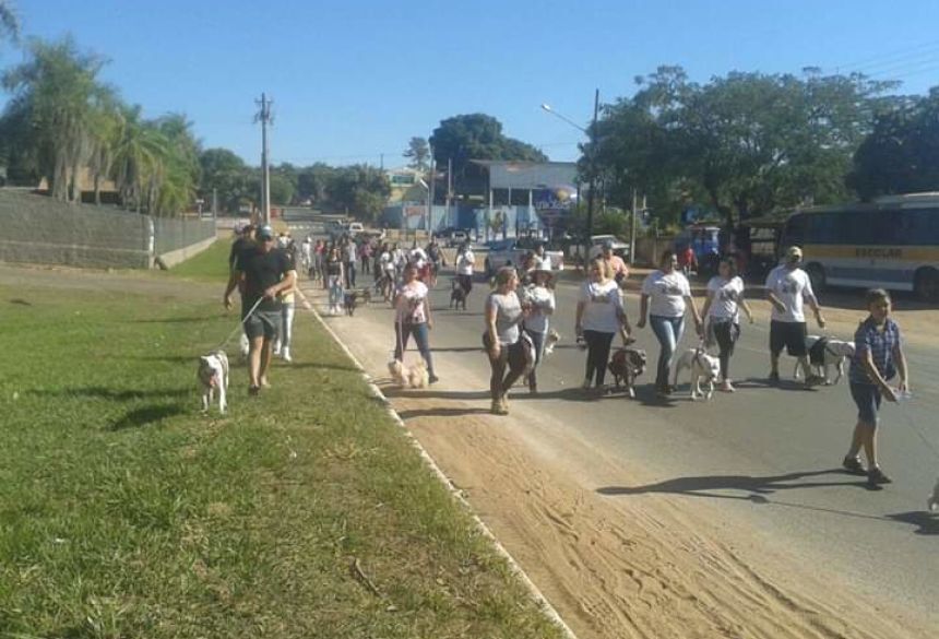 Bonito (MS) tem manifestação contra grupo criminoso que organizava rinha de pitbull em São Paulo