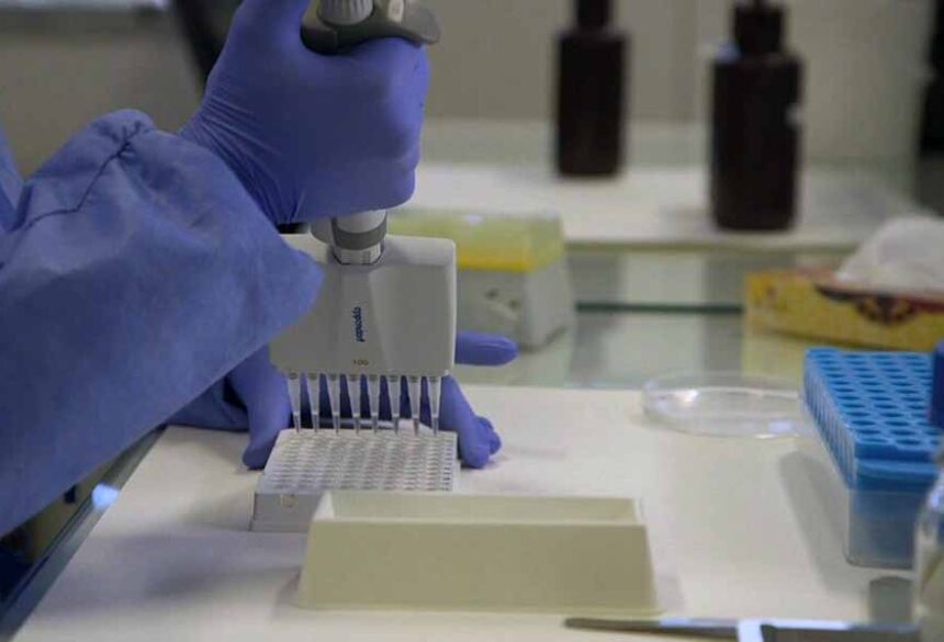 Pesquisadores analisam amostras do novo coronavírus — Foto: TV Globo/Reprodução