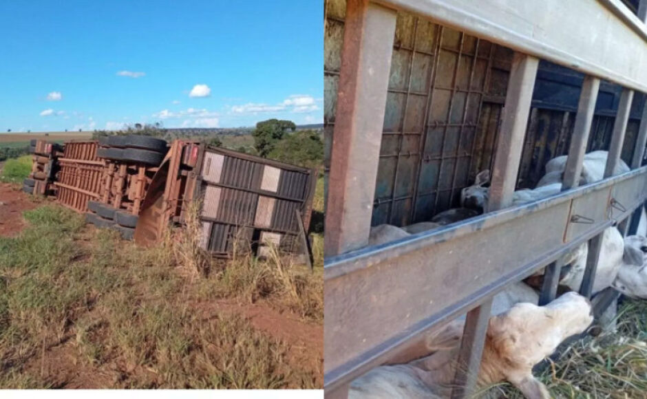 Carreta boiadeira tomba na BR-267 e motorista ficou ferido