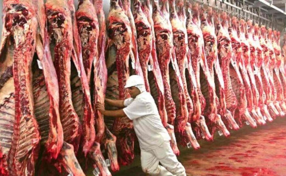 Setor da carne de MS busca novos mercados e aposta em biodiesel após tarifaço no sebo bovino