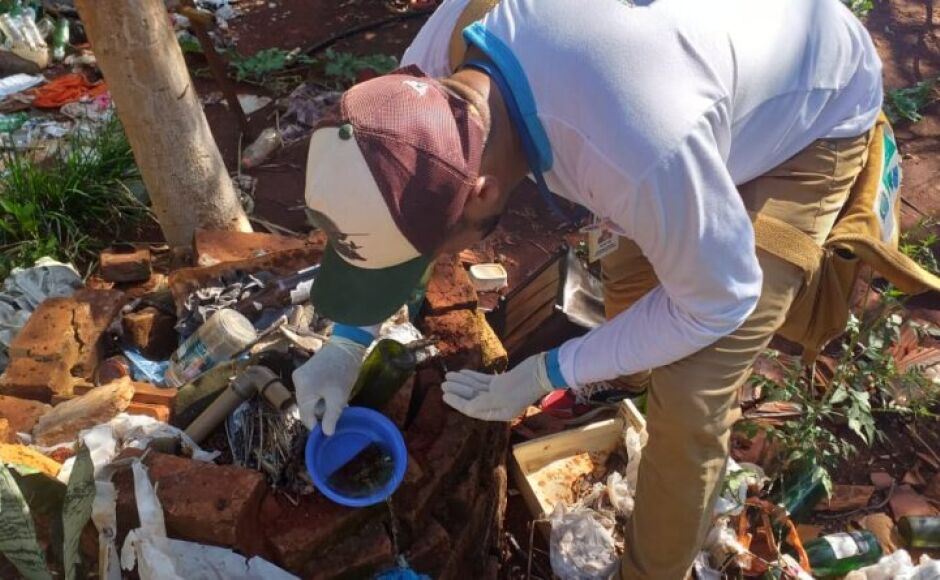 Boletim epidemiológico: MS registra 9.686 casos confirmados de chikungunya