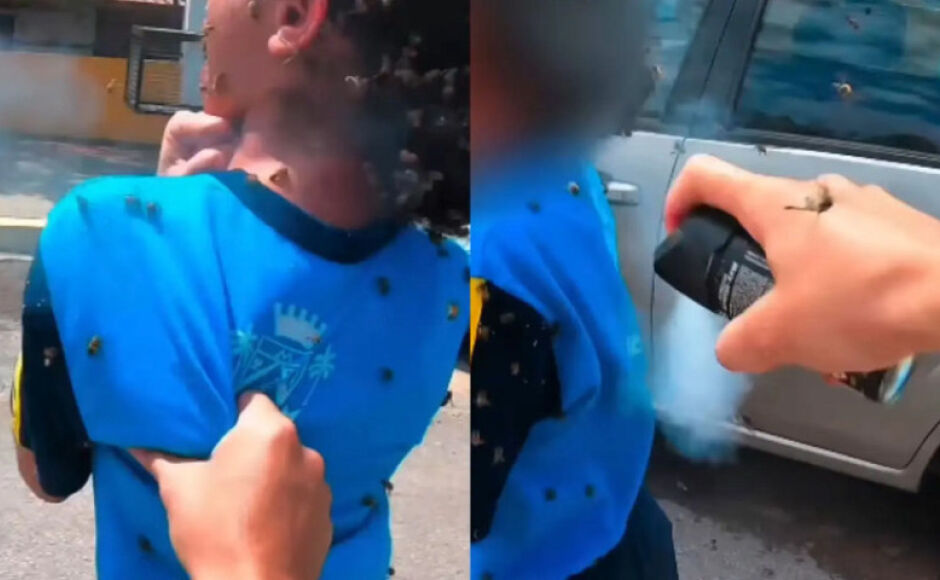 Criança é atacada por abelhas e motociclista leva mais de 40 picadas ao tentar salvá-la