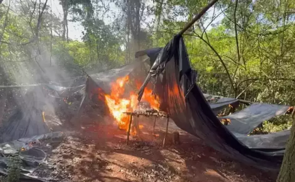 Três acampamentos são queimados com 1,8 tonelada de maconha