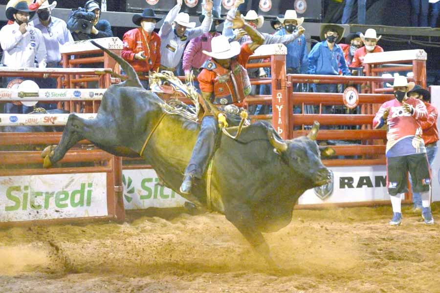 Mulher que trabalha em rodeio já montou em touros :: Notícias de MT