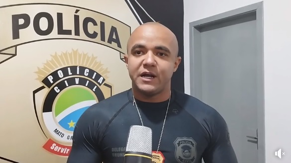 DELEGADO DE POLÍCIA DE VICENTINA