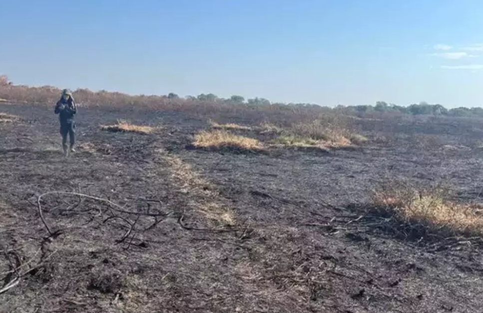 Área da União foi queimada e grilada no Pantanal de Corumbá. 