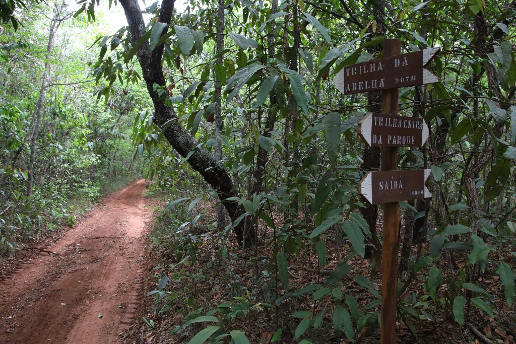 Trilhas são alguns dos atrativos do Parque Matas do Segredo