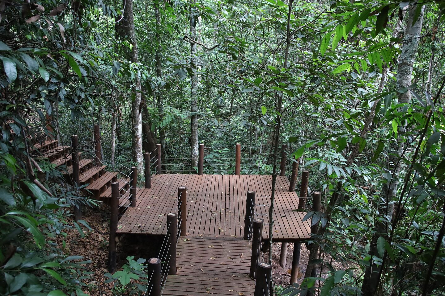 Trilha guiada tem percurso de 2 km e lindas paisagens