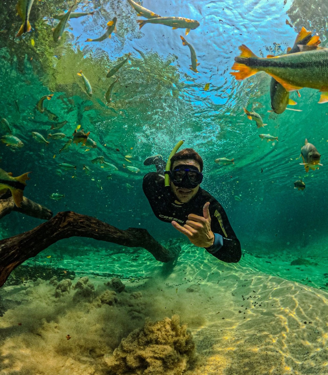 Créditos Recanto Ecológico Rio da Prata.