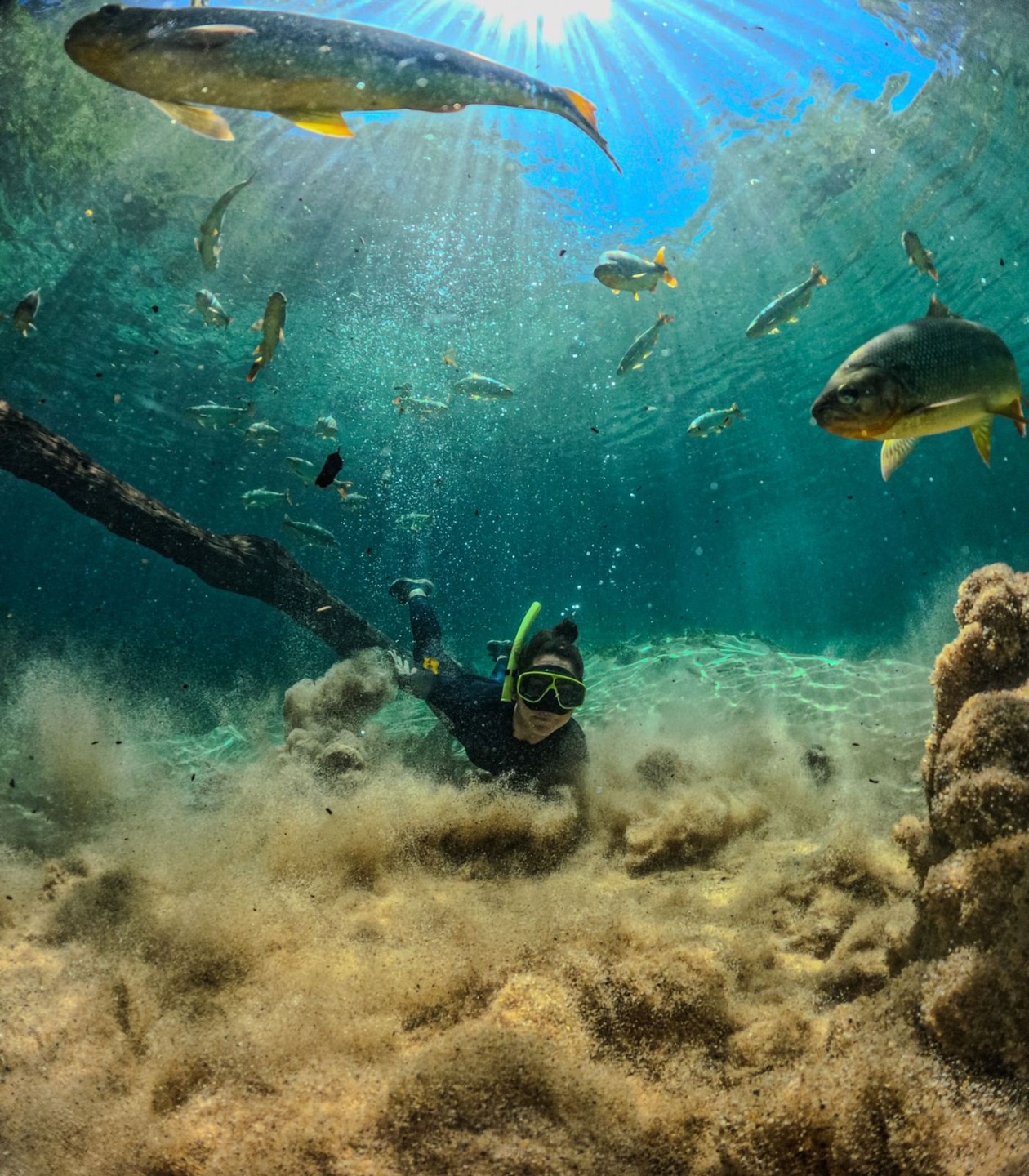 Créditos Recanto Ecológico Rio da Prata.