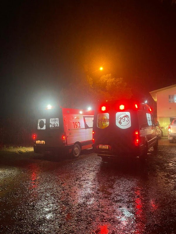 Bombeiros vão atender ocorrência de ataque de abelhas Foto: SBAC Antônio Prado
