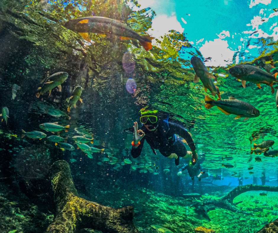 RIO DA PRATA - Imagens: Vitor Supriano / Rio da Prata