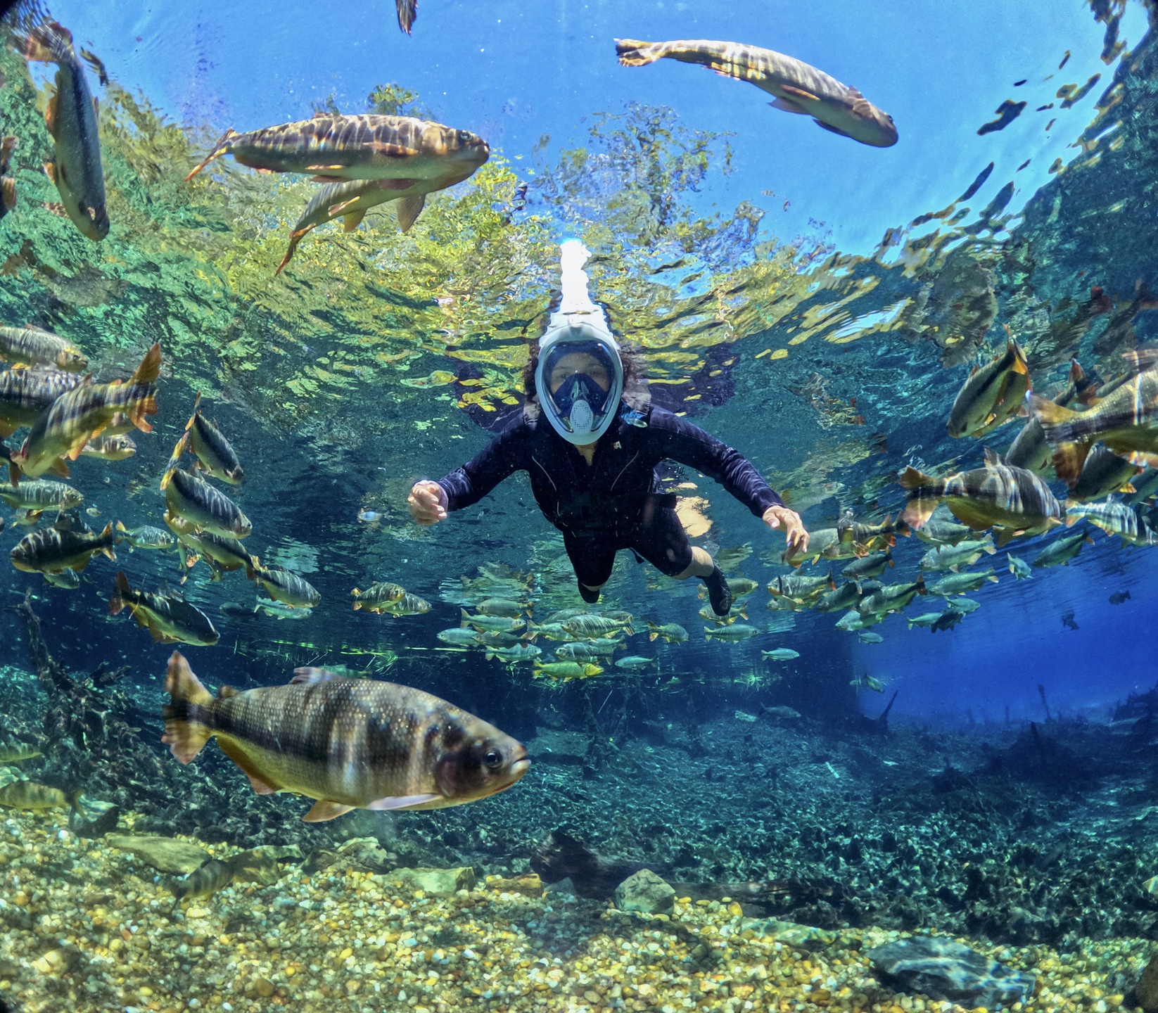 RIO DA PRATA - Imagens: Vitor Supriano / Rio da Prata